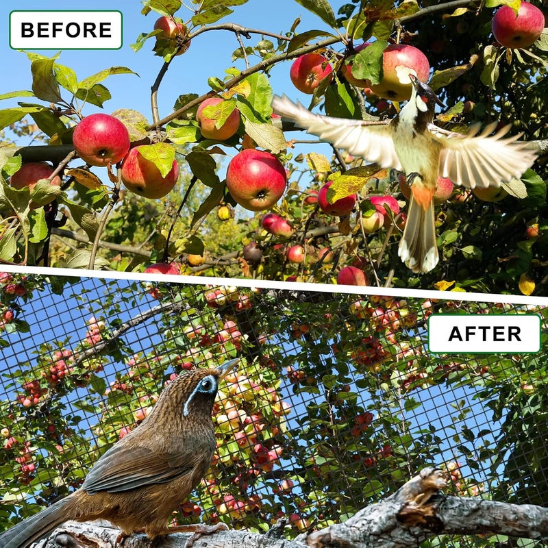 BSTPCOO 25'x25' Bird Netting for Chicken Coop, Nylon 3/4" Mesh Poultry Netting Chicken Net Roof Hawk, Aviary Net Deer Fence Pests Trellis Garden Nettings for Fruits Trees Plant - Image 5